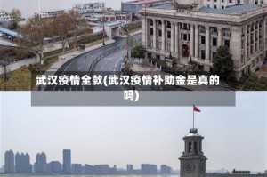 武汉疫情全款(武汉疫情补助金是真的吗)