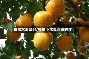 疫情水果降价/疫情下水果滞销时评