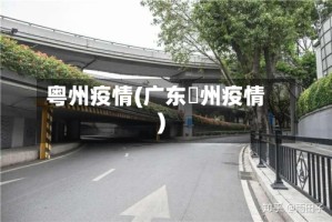 粤州疫情(广东恵州疫情)