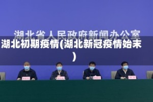 湖北初期疫情(湖北新冠疫情始末)