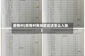 疫情村(疫情村民捐款应该怎么入账)