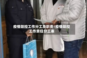 疫情防控工作分工及职责/疫情防控工作责任分工表