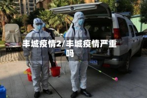 丰城疫情2/丰城疫情严重吗