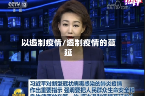 以遏制疫情/遏制疫情的蔓延