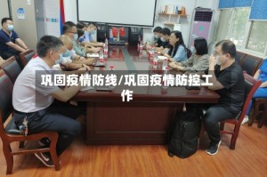 巩固疫情防线/巩固疫情防控工作