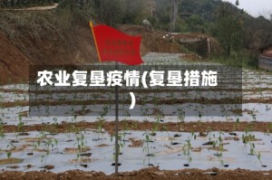 农业复垦疫情(复垦措施)