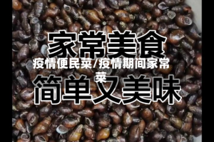 疫情便民菜/疫情期间家常菜