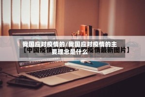 我国应对疫情的/我国应对疫情的主要理念是什么
