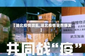 【湖北疫情混乱,湖北疫情突然爆发】