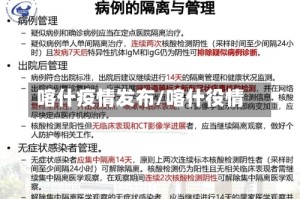 喀什疫情发布/喀什役情