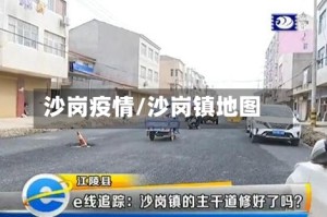 沙岗疫情/沙岗镇地图