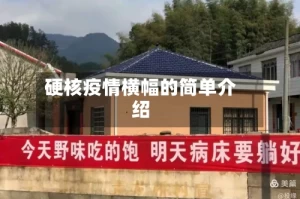 硬核疫情横幅的简单介绍