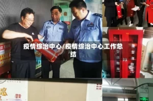 疫情综治中心/疫情综治中心工作总结