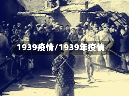 1939疫情/1939年疫情-第2张图片
