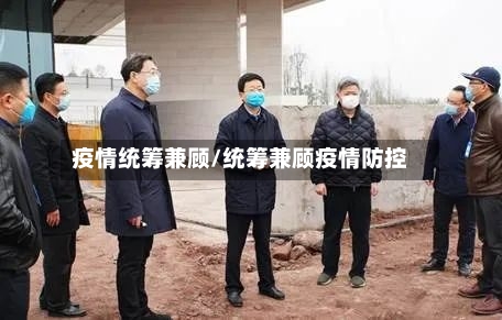 疫情统筹兼顾/统筹兼顾疫情防控-第3张图片