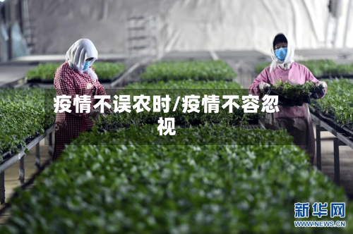 疫情不误农时/疫情不容忽视-第3张图片