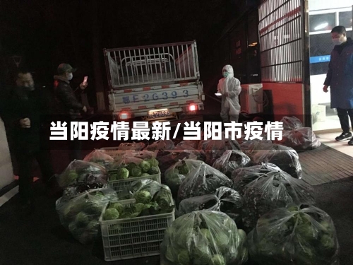 当阳疫情最新/当阳市疫情-第2张图片