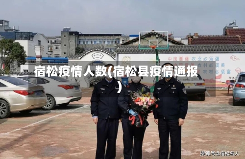 宿松疫情人数(宿松县疫情通报)-第1张图片