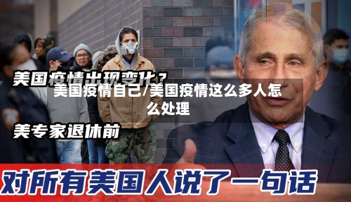 美国疫情自己/美国疫情这么多人怎么处理-第2张图片