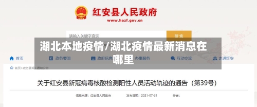 湖北本地疫情/湖北疫情最新消息在哪里-第1张图片