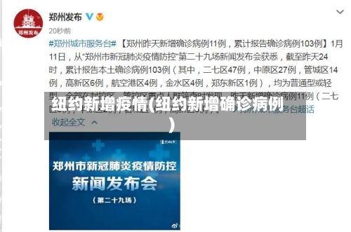 纽约新增疫情(纽约新增确诊病例)-第2张图片