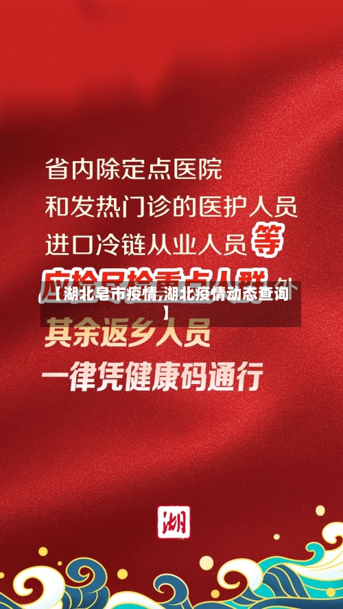 【湖北皂市疫情,湖北疫情动态查询】-第1张图片