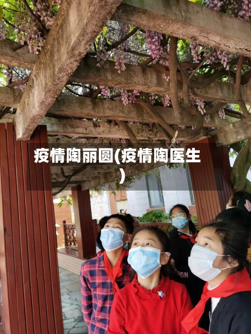 疫情陶丽圆(疫情陶医生)-第2张图片