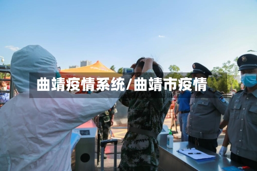 曲靖疫情系统/曲靖市疫情-第3张图片