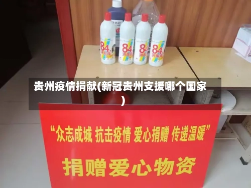 贵州疫情捐献(新冠贵州支援哪个国家)-第1张图片
