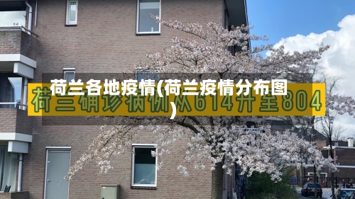 荷兰各地疫情(荷兰疫情分布图)-第1张图片