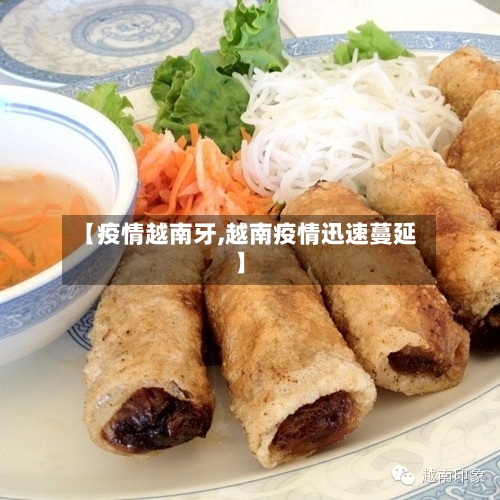 【疫情越南牙,越南疫情迅速蔓延】-第1张图片