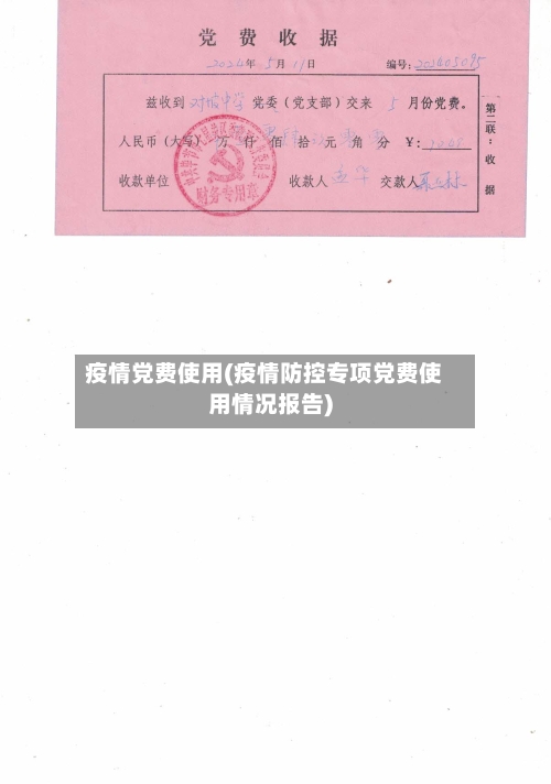 疫情党费使用(疫情防控专项党费使用情况报告)-第2张图片