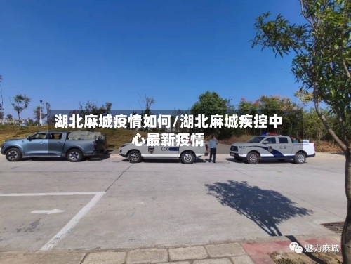 湖北麻城疫情如何/湖北麻城疾控中心最新疫情-第3张图片