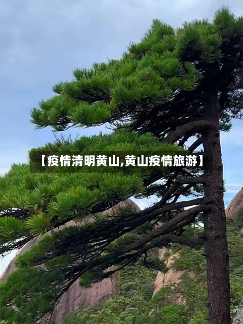 【疫情清明黄山,黄山疫情旅游】-第1张图片
