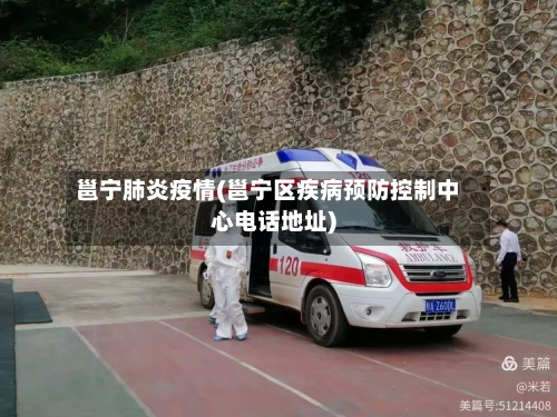 邕宁肺炎疫情(邕宁区疾病预防控制中心电话地址)-第2张图片