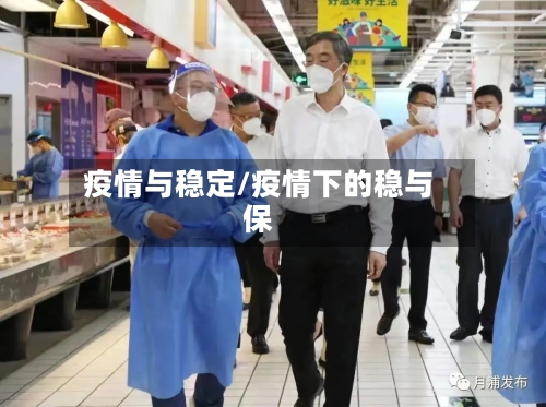 疫情与稳定/疫情下的稳与保-第1张图片
