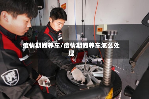 疫情期间养车/疫情期间养车怎么处理-第3张图片