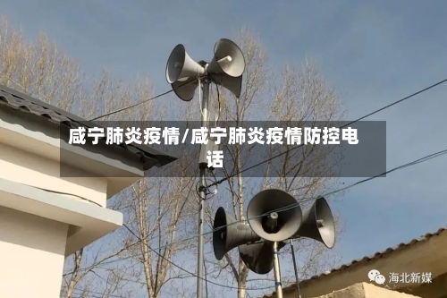 咸宁肺炎疫情/咸宁肺炎疫情防控电话-第1张图片