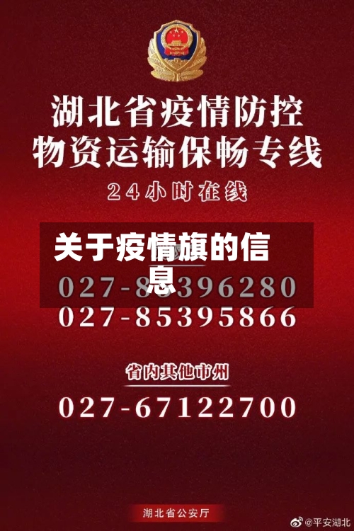 关于疫情旗的信息-第2张图片