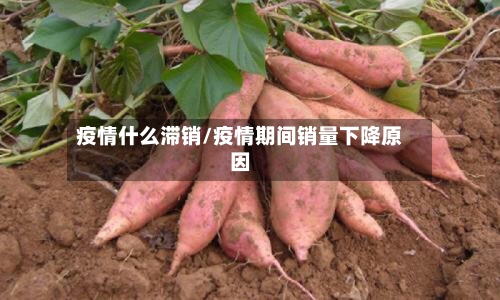 疫情什么滞销/疫情期间销量下降原因-第2张图片