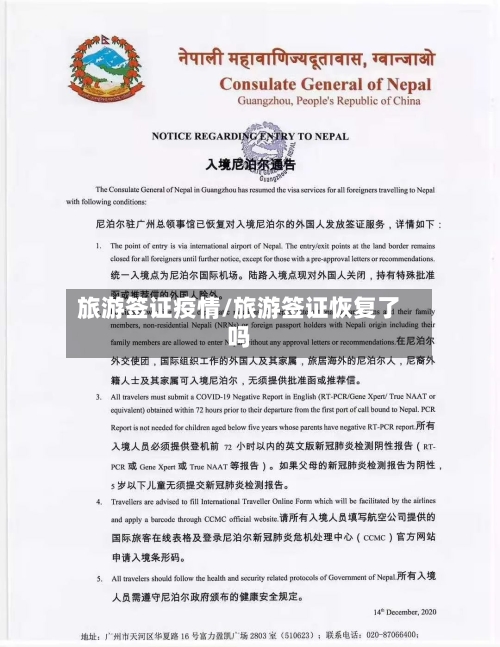 旅游签证疫情/旅游签证恢复了吗-第2张图片