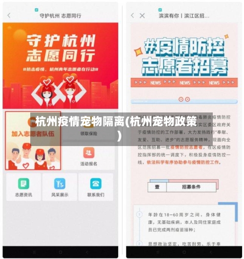 杭州疫情宠物隔离(杭州宠物政策)-第1张图片