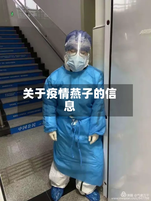 关于疫情燕子的信息-第1张图片