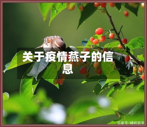 关于疫情燕子的信息-第2张图片