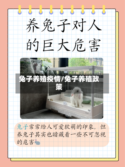 兔子养殖疫情/兔子养殖政策-第2张图片