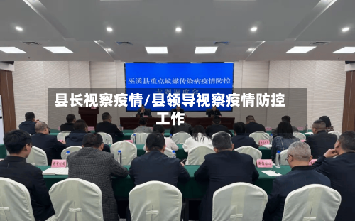 县长视察疫情/县领导视察疫情防控工作-第2张图片
