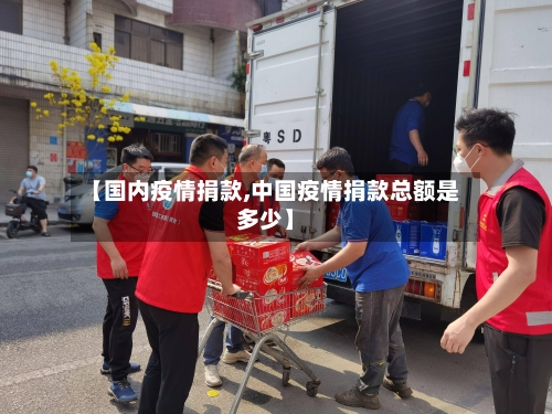 【国内疫情捐款,中国疫情捐款总额是多少】-第1张图片