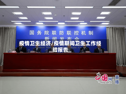 疫情卫生经济/疫情期间卫生工作经验报告-第1张图片