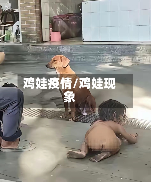 鸡娃疫情/鸡娃现象-第1张图片