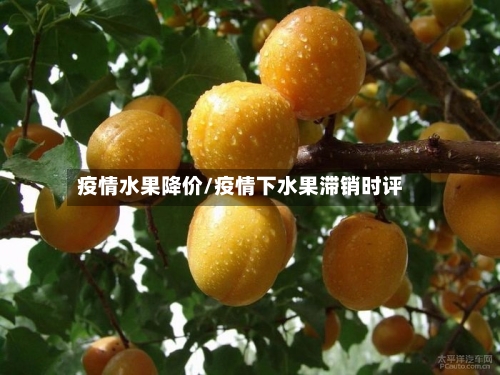 疫情水果降价/疫情下水果滞销时评-第1张图片